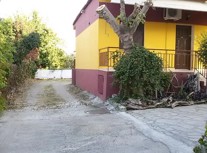 Maria פוליכרונו